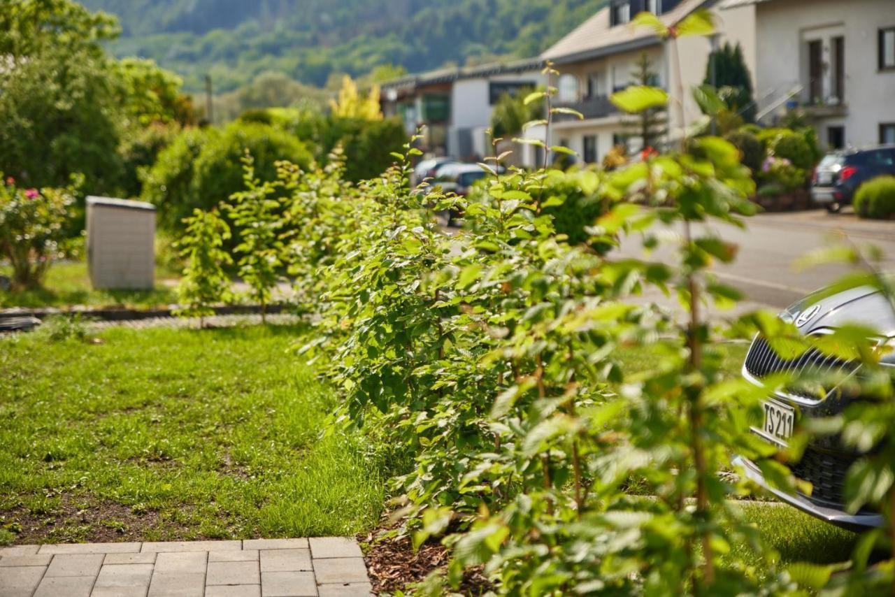 Mittelmosel Panorama Ferienwohnung Kinheim Eksteriør billede